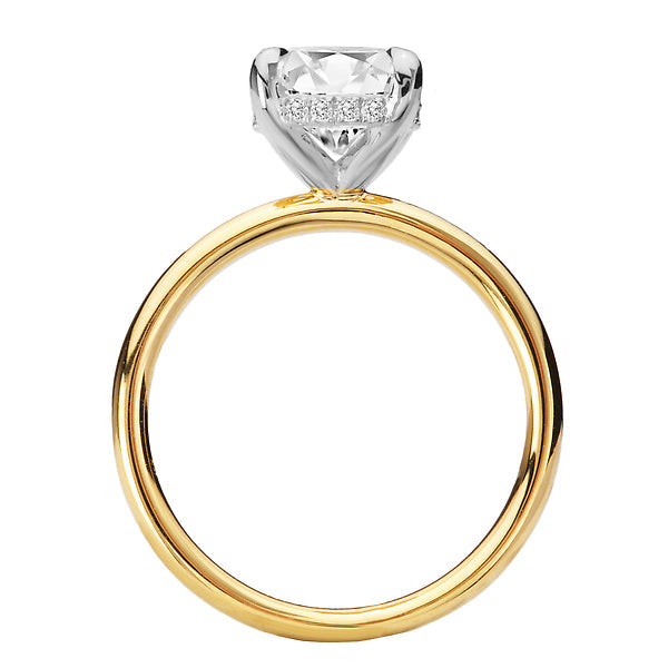 Diamond Hidden Halo Two-Tone Engagement Ring
