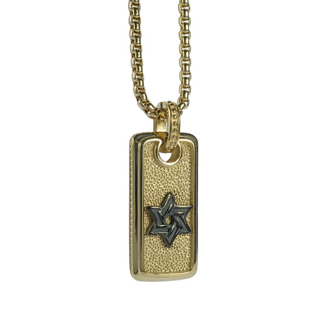 AMIR PENDANT