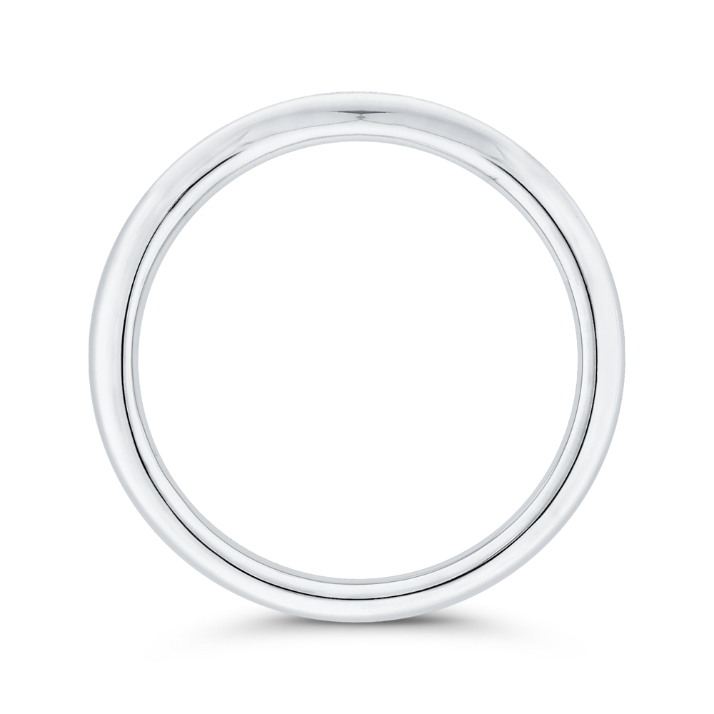 Diamond Counter Wedding Band in 14K White Gold