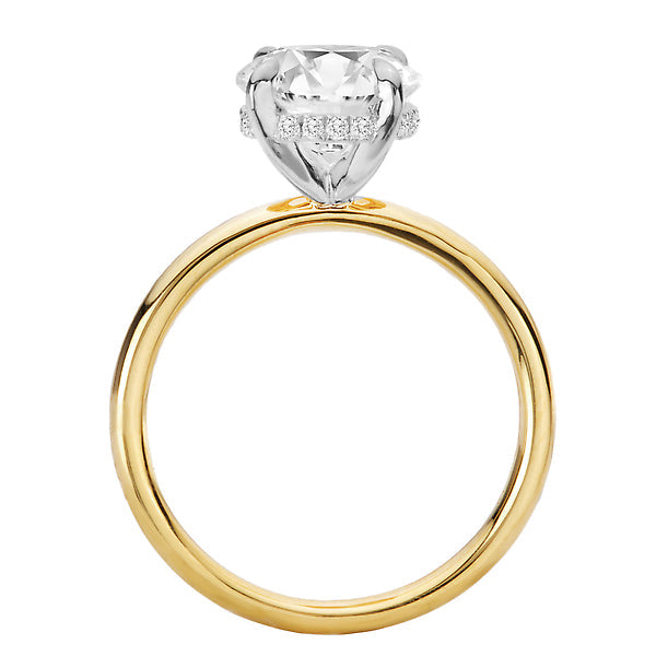 Diamond Hidden Halo Two-Tone Engagement Ring