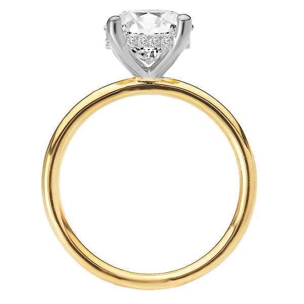 Diamond Hidden Halo Two-Tone Engagement Ring