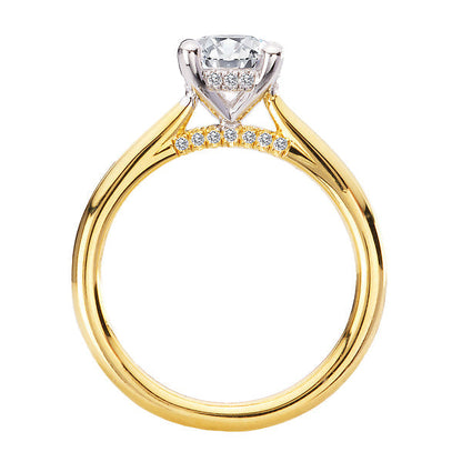 Hidden Halo Semi-Mount Diamond Engagement Ring