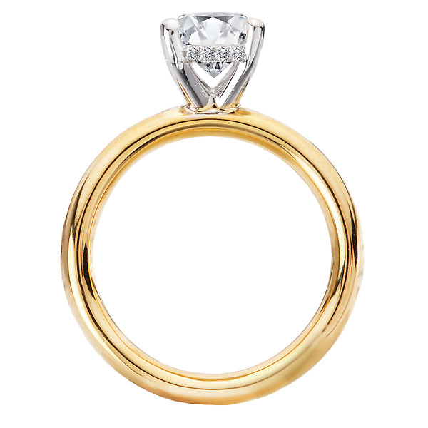 Hidden Halo Semi-Mount Diamond Engagement Ring