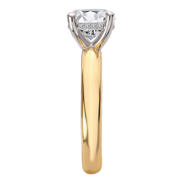 Hidden Halo Semi-Mount Diamond Engagement Ring