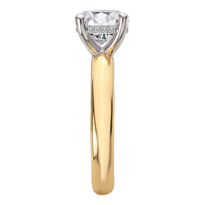 Hidden Halo Semi-Mount Diamond Engagement Ring