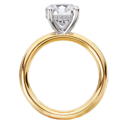 Hidden Halo Semi-Mount Diamond Engagement Ring