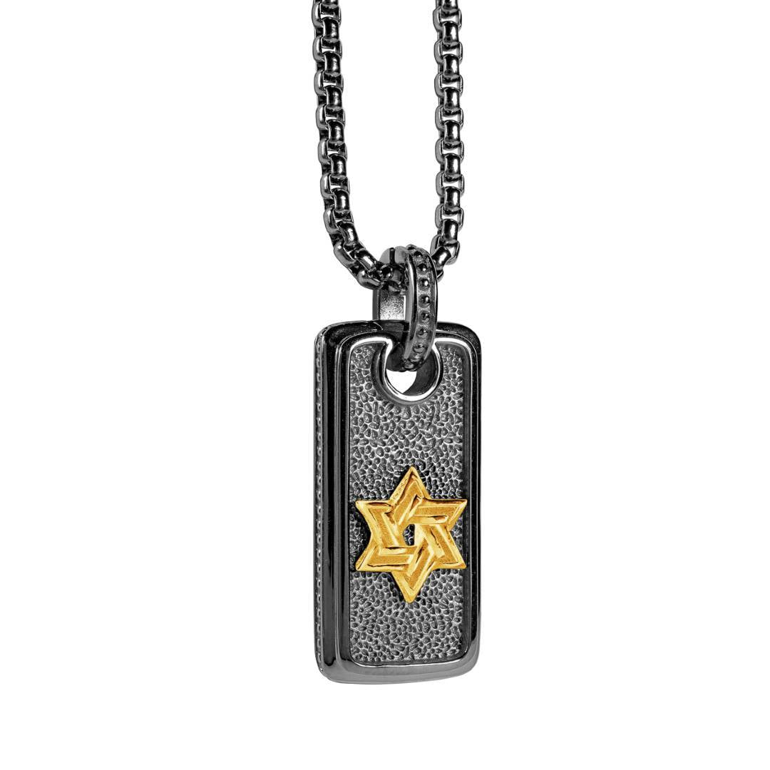 AMIR PENDANT