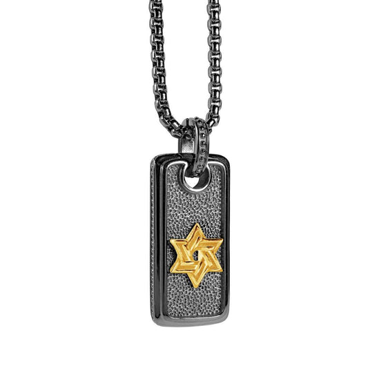 AMIR PENDANT